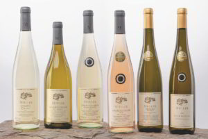 Frühlings-Paket mit neuen Weinen